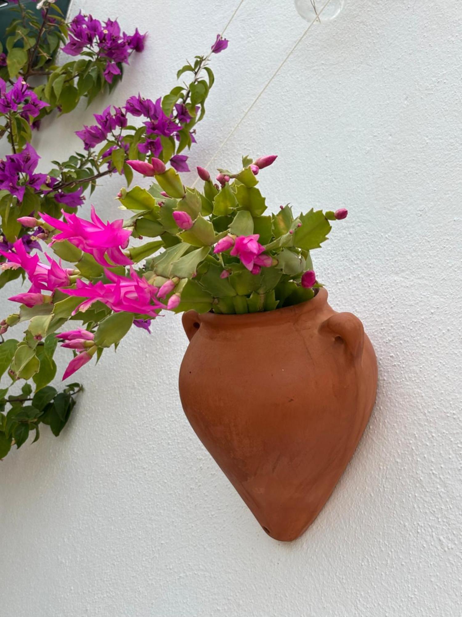 Casa Alta B&B Torrox Esterno foto