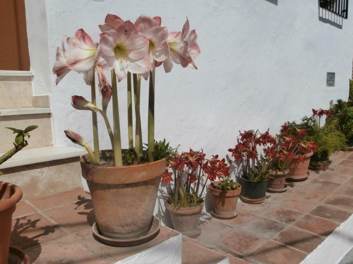 Casa Alta B&B Torrox Esterno foto